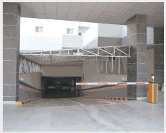  2025Ÿ��1295  �ٸ��󰡰��