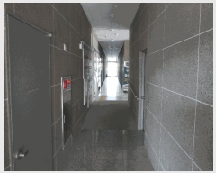  2025Ÿ��1295  �ٸ��󰡰��