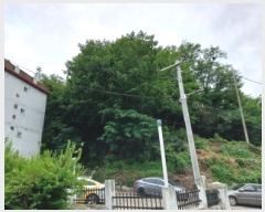  2025Ÿ��2236 ��� ��õ�� �һ籸 �۳��� ��55-1      ����(�Ӿ�)���