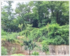  2025Ÿ��2236 ��� ��õ�� �һ籸 �۳��� ��55-1      ����(�Ӿ�)���