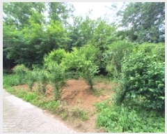  2025Ÿ��2236 ��� ��õ�� �һ籸 �۳��� ��55-1      ����(�Ӿ�)���