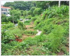  2025Ÿ��2236 ��� ��õ�� �һ籸 �۳��� ��55-1      ����(�Ӿ�)���