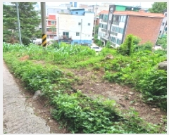  2025Ÿ��2236 ��� ��õ�� �һ籸 �۳��� ��55-1      ����(�Ӿ�)���