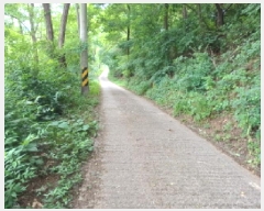  2025Ÿ��2236 ��� ��õ�� �һ籸 �۳��� ��55-1      ����(�Ӿ�)���