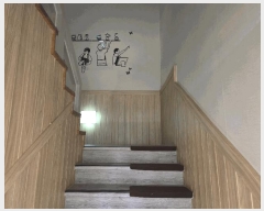  2025Ÿ��3277  �ٸ��󰡰��