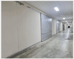  2025Ÿ��3437  ����Ʈ��������