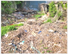  2025Ÿ��33366 ��� ������ ������ �Ű 367-3      ����(��1)���