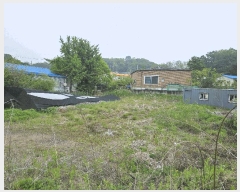  2025Ÿ��33366 ��� ������ ������ �Ű 366-5      ����(����)���