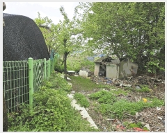  2025Ÿ��33366 ��� ������ ������ �Ű 366-5      ����(����)���