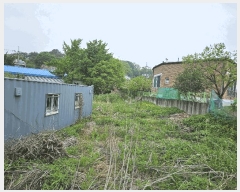  2025Ÿ��33366 ��� ������ ������ �Ű 366-5      ����(����)���