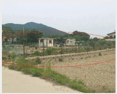  2025Ÿ��33689  ����