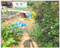  2025Ÿ��33689  ����