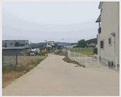  2025Ÿ��33689  ����