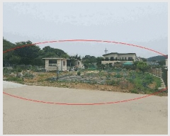  2025Ÿ��33689  ����