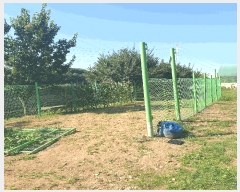  2025Ÿ��33893  ����