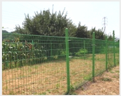  2025Ÿ��33893  ����