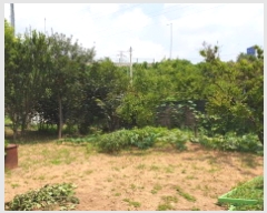  2025Ÿ��33893  ����