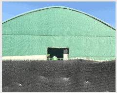  2025Ÿ��33893  ����