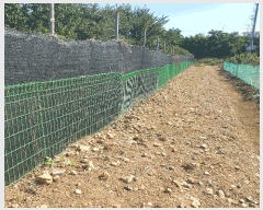  2025Ÿ��33893  ����