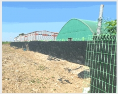  2025Ÿ��33893  ����