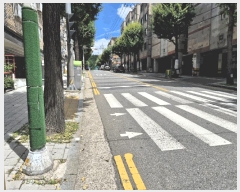  2025Ÿ��33959 ��� ��õ�� ������ ������ 336-11 ���̽���  3��301ȣ   �ټ���,������