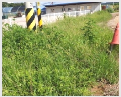  2025Ÿ��34012 ��� ������ ����� ��ϸ� 643-120      ��,�繫�ǰ��