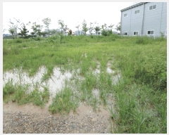  2025Ÿ��34133  ����������