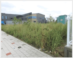  2025Ÿ��34133  ����������