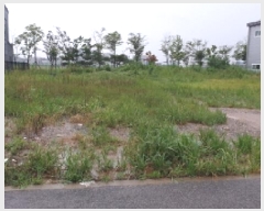  2025Ÿ��34133  ����������