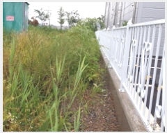  2025Ÿ��34133  ����������