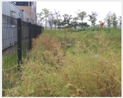  2025Ÿ��34133  ����������