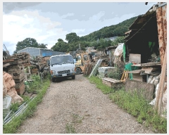  2025Ÿ��34266  ���ð��