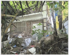  2025Ÿ��34299  ���ð��