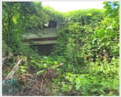  2025Ÿ��34299  ���ð��