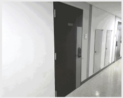  2025Ÿ��34386  ���ǽ��ڰ��