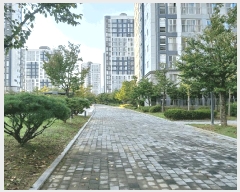  2025Ÿ��34530  ����Ʈ���