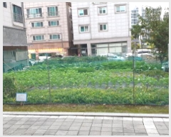  2025Ÿ��34549  �������