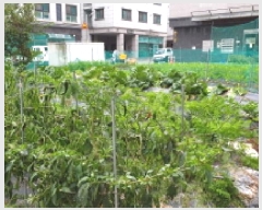  2025Ÿ��34549  �������