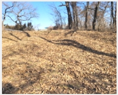  2025Ÿ��148 ��� ������ ������ ������ 215-2      ����(��1)���