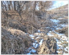  2025Ÿ��148 ��� ������ ������ ������ 262-2      ����(�Ӿ�)���