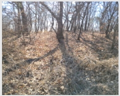  2025Ÿ��148 ��� ������ ������ ������ 262-2      ����(�Ӿ�)���