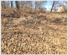  2025Ÿ��148 ��� ������ ������ ������ 262-2      ����(�Ӿ�)���