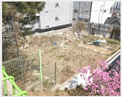  2025Ÿ��1035 ��� ������ ��쵿 1268       ����(����)���