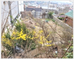  2025Ÿ��1035 ��� ������ ��쵿 1268       ����(����)���