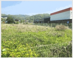  2025Ÿ��33277  �����