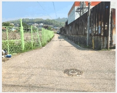  2025Ÿ��33277  �����