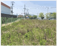  2025Ÿ��33277  �����