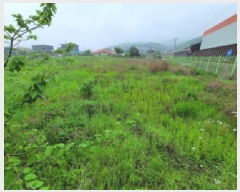  2025Ÿ��33277  �����