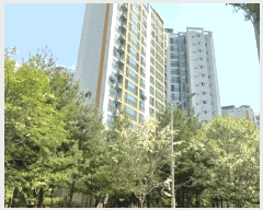  2025Ÿ��33386  ����Ʈ���