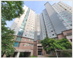  2025Ÿ��33386  ����Ʈ���